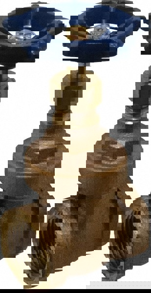 Gate Valve: Non-Rising Stem, 1